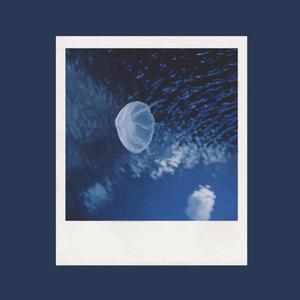 欧洲女人荫蒂视频
