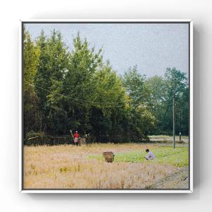 欧洲女人荫蒂视频
